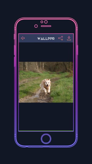 WALLPPR - High resolution HD wallpapers for iphone(圖3)-速報App