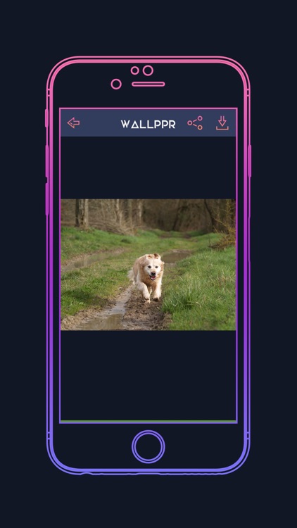 WALLPPR - High resolution HD wallpapers for iphone