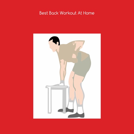Best back workout at home