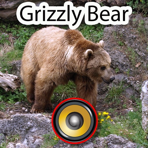 Real Grizzly Bear Hunting Calls & Sounds Icon