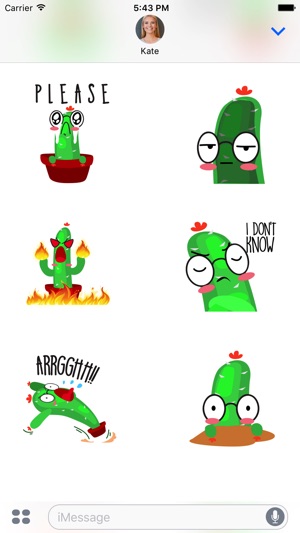 Mr Cactus Stickers