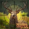 Deer Hunter FPS Sniper Shooter