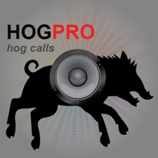 Activities of Hog Calls For Hog Hunting