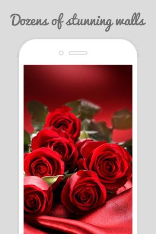 Trendy Roses - Best Collection of Rose Wallpapers screenshot 3