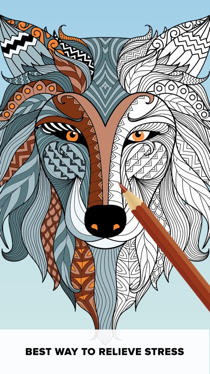 Colorset - Coloring Book screenshot-0