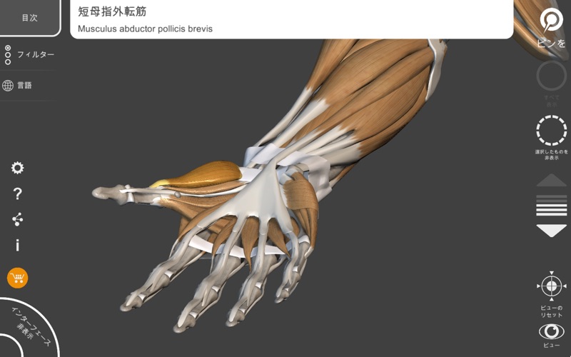アーティストのための3D解剖学的構造 | ... screenshot1