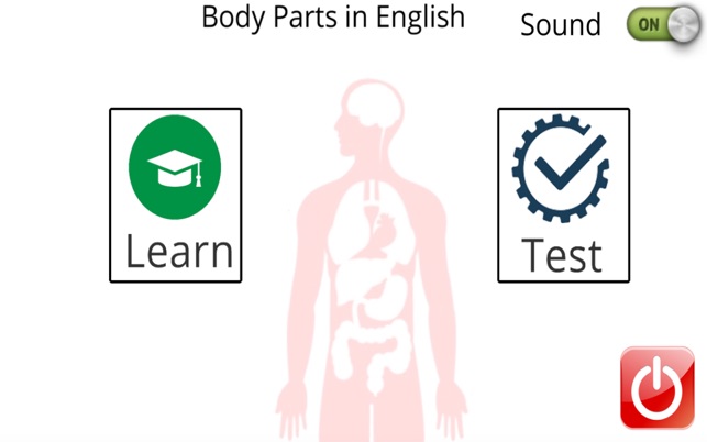 Learn Body Parts in English