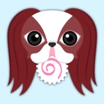 Red Sable Japanese Chin