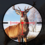 Bow Hunter : Wild Animal Hunt