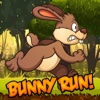 Running games: rabbit run fast bunny jumping game