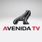 Avenida TV offers a monthly subscription to access a variety of movies, news, music, tv, shorts, and more