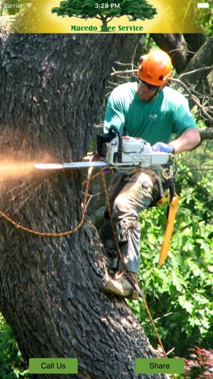 Macedo's Tree Service