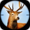 A Quick Shot To A deer : A Game for you