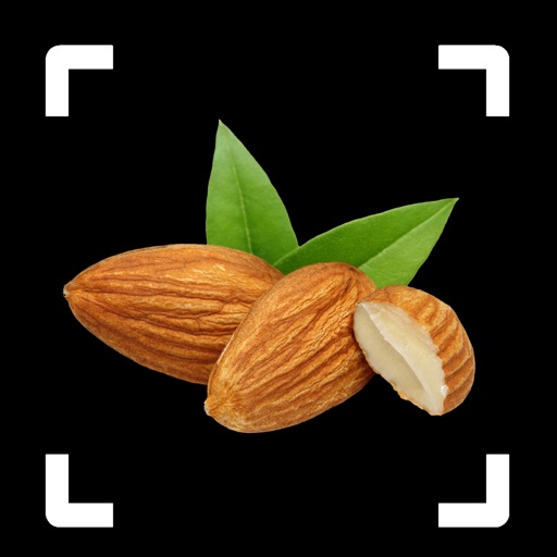 Nut Identifier: Seed ID