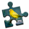 Приложение Bird Watching Puzzle