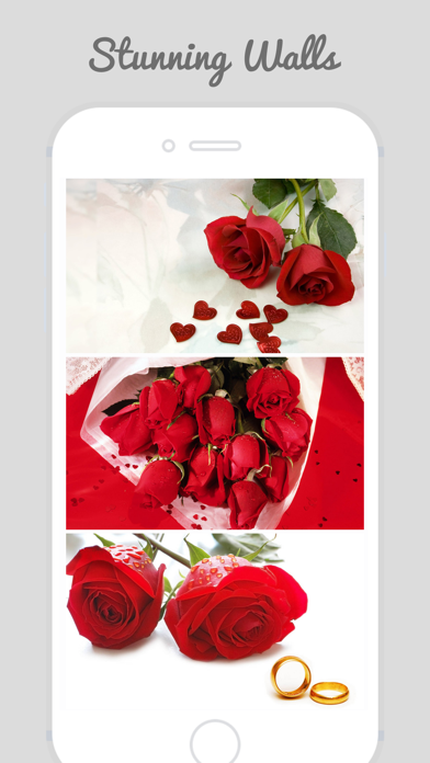 Trendy Roses - Best Collection of Rose Wallpapersのおすすめ画像2