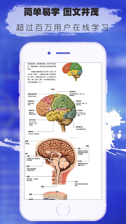 3d人体解剖生理学-人体医学肌肉解剖图谱
