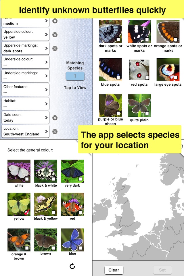 Butterfly Guide - Europe screenshot 3