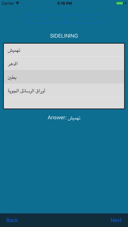 Arabic Dictionary screenshot-4