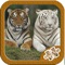 Jigsaw puzzle is a photo puzzle game that requires assemblage of interlocking photo pieces