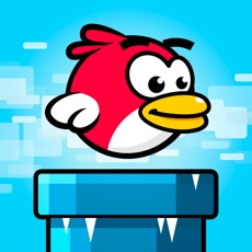 Activities of Flappy Winter Bird - Swing your tiny flappy wings!
