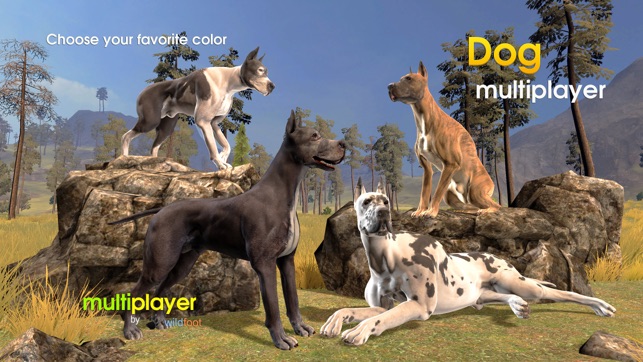 Dog Multiplayer : Great Dane(圖1)-速報App