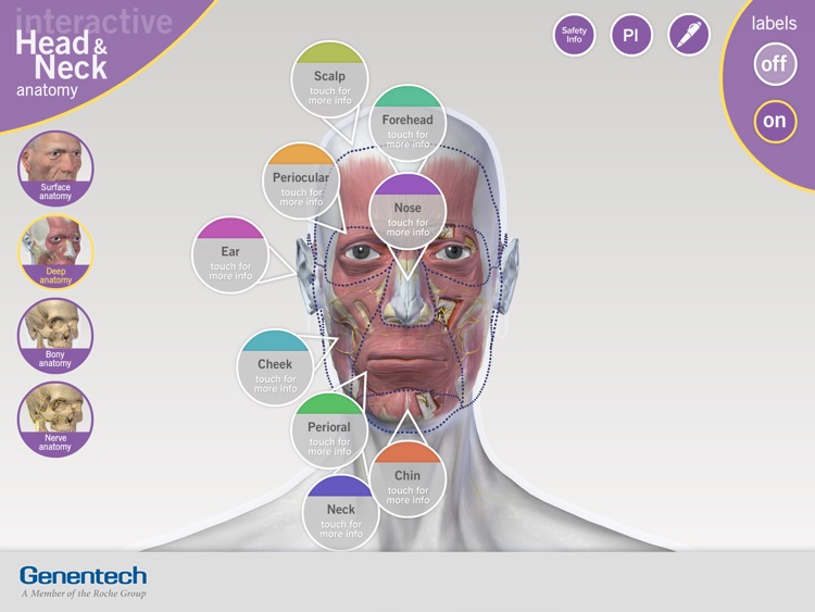 3D Facial Anatomy Tool screenshot-4