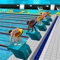 Swimming Race 2017