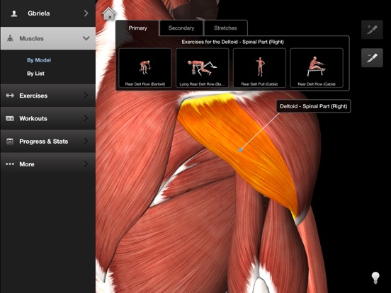 iPad Screenshot 2