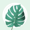 App Icon for Plant Identifier - PlantMe App in Pakistan App Store
