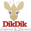 DikDik