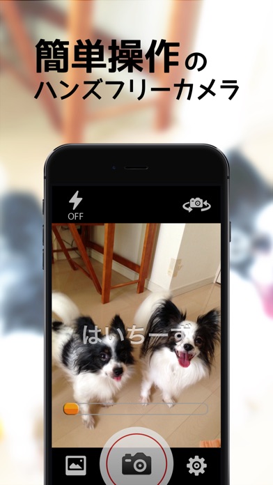 声シャッター - ハンズフリー&かんたんカメラ screenshot1