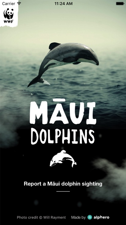 Maui Dolphin screenshot-0