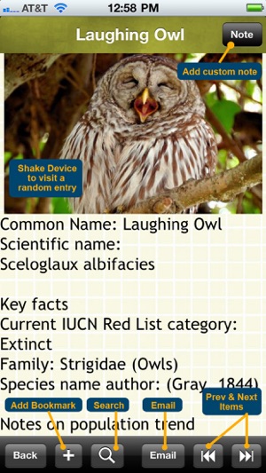 Owls Encyclopedia Plus+(圖4)-速報App