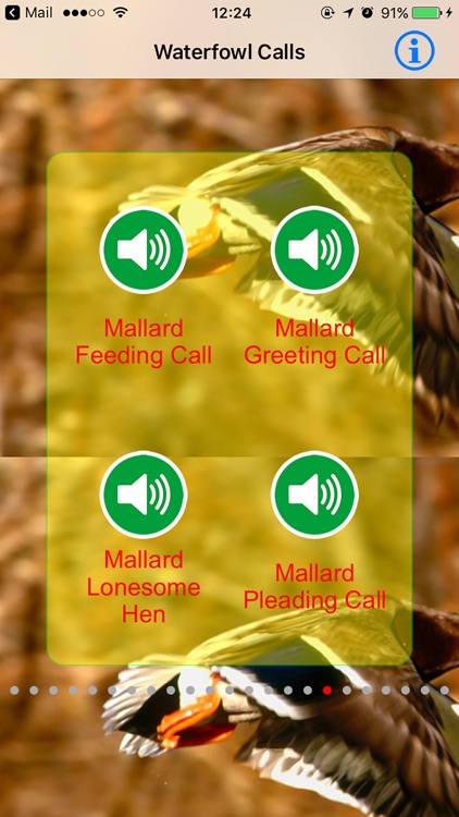 Waterfowl Real Hunting Calls & Sounds screenshot-3