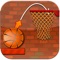 Amazing Basketball Toss
