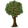 Directory of fruit trees