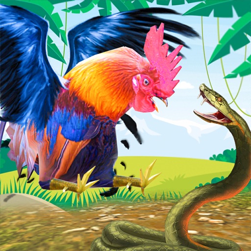 Wild Rooster Chicken Simulator iOS App