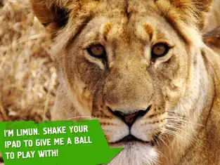 Captură 1 Virry Animals Educational game iphone