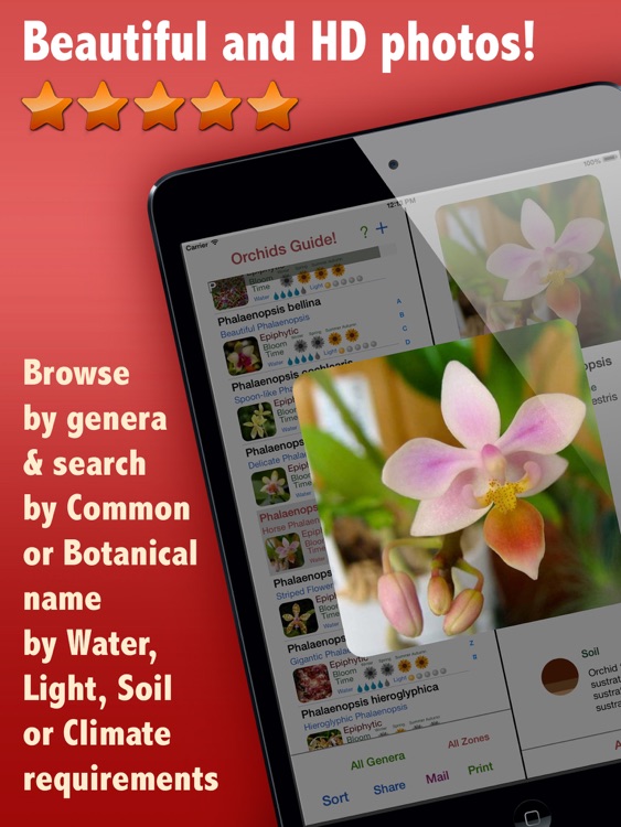 Orchids Guide HD!