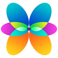 Photo Reflection PC 용