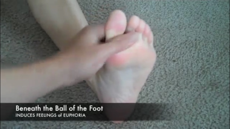 Reflexology screenshot-4
