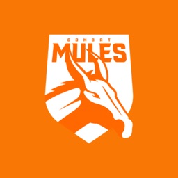 Combat Mules