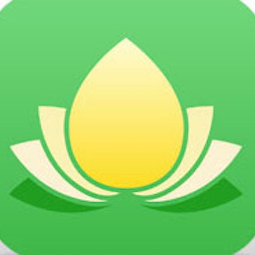 Essential Oils Guide Modern Aromatherapy for EO