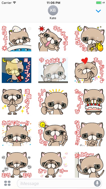 Browny Sad Cat Japanese Vol 1