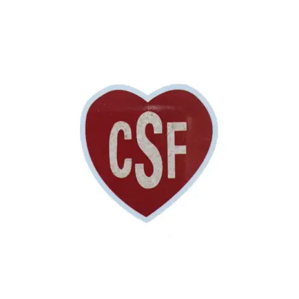 Collège De La Sainte Famille Читы