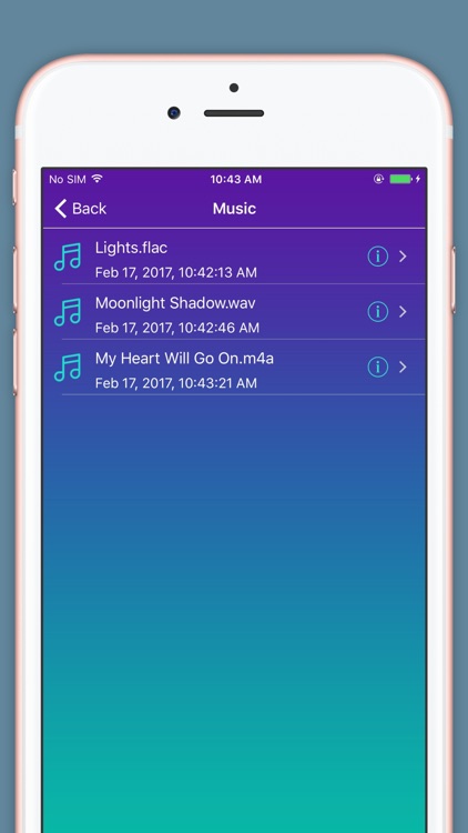 Audio Converter Pro - Convert Music Files Formats screenshot-3