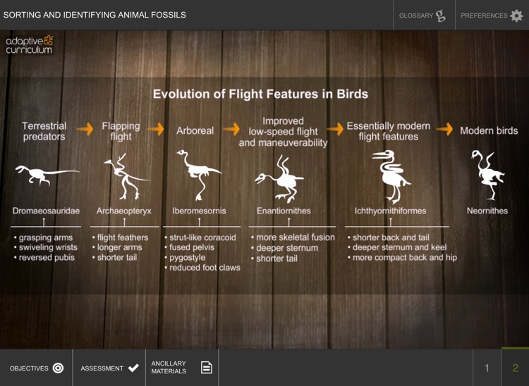 Analysis of Fossil Evidence screenshot-3