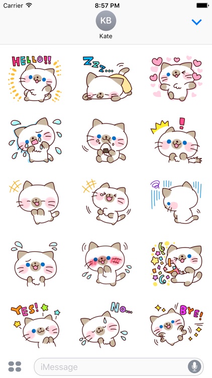 Siamese Cat 3 - Text Message Stickers Pack