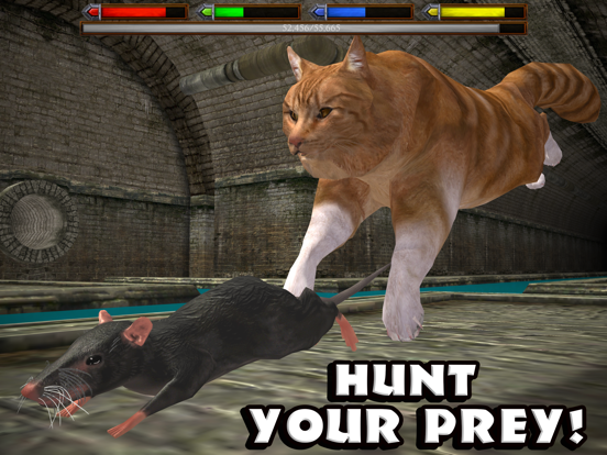 Ultimate Cat Simulator By Gluten Free Games Ios United States Searchman App Data Information - the ultimate speed simulator sprinting simulator 2 roblox